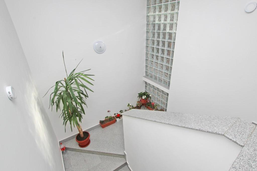 Imas Apartment Sarajevo Esterno foto